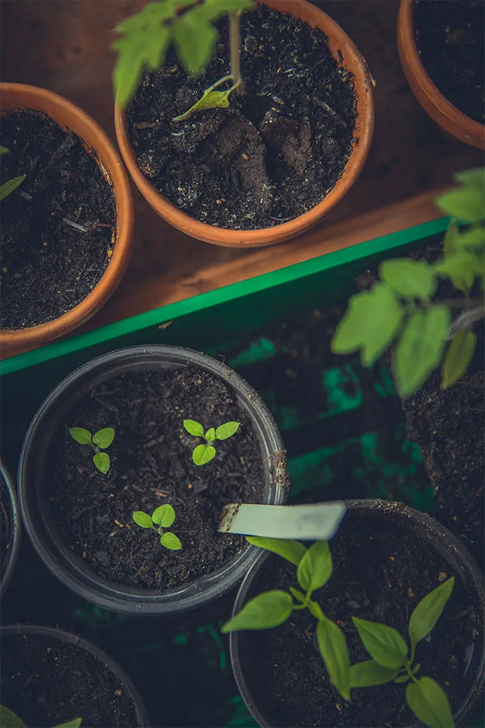 30 Good Things Happening In The World Right Now That Many People Don't Think Of