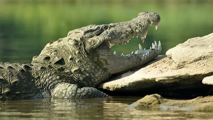 30 Good Things Happening In The World Right Now That Many People Don't Think Of