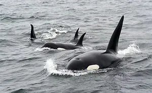30 Good Things Happening In The World Right Now That Many People Don't Think Of