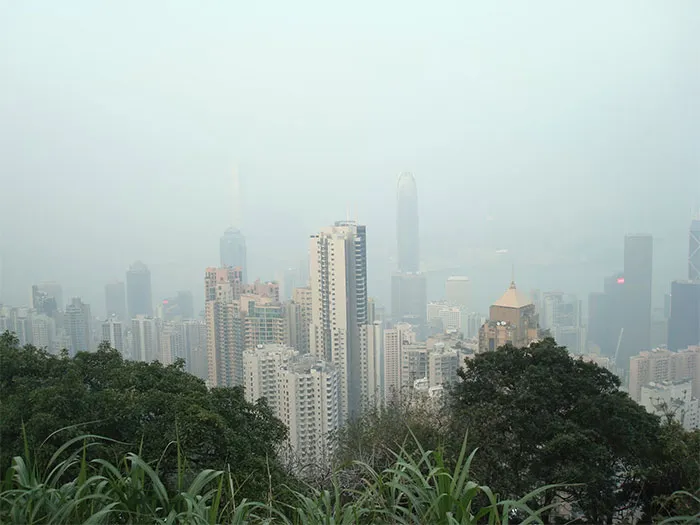 30 Good Things Happening In The World Right Now That Many People Don't Think Of