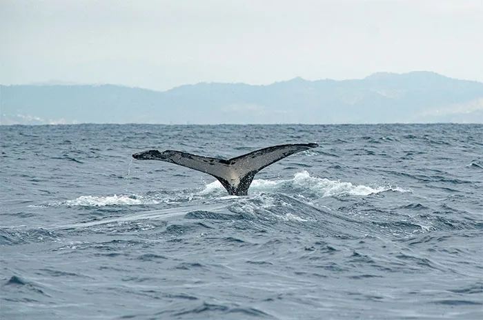 30 Good Things Happening In The World Right Now That Many People Don't Think Of