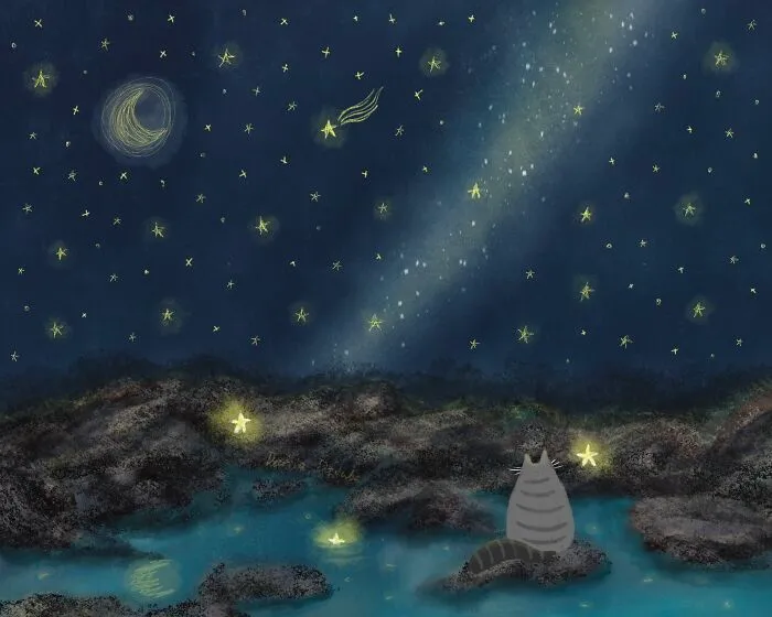Making A Wish Upon A Shooting Star