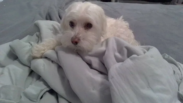 Ella, Who Needs A Bath