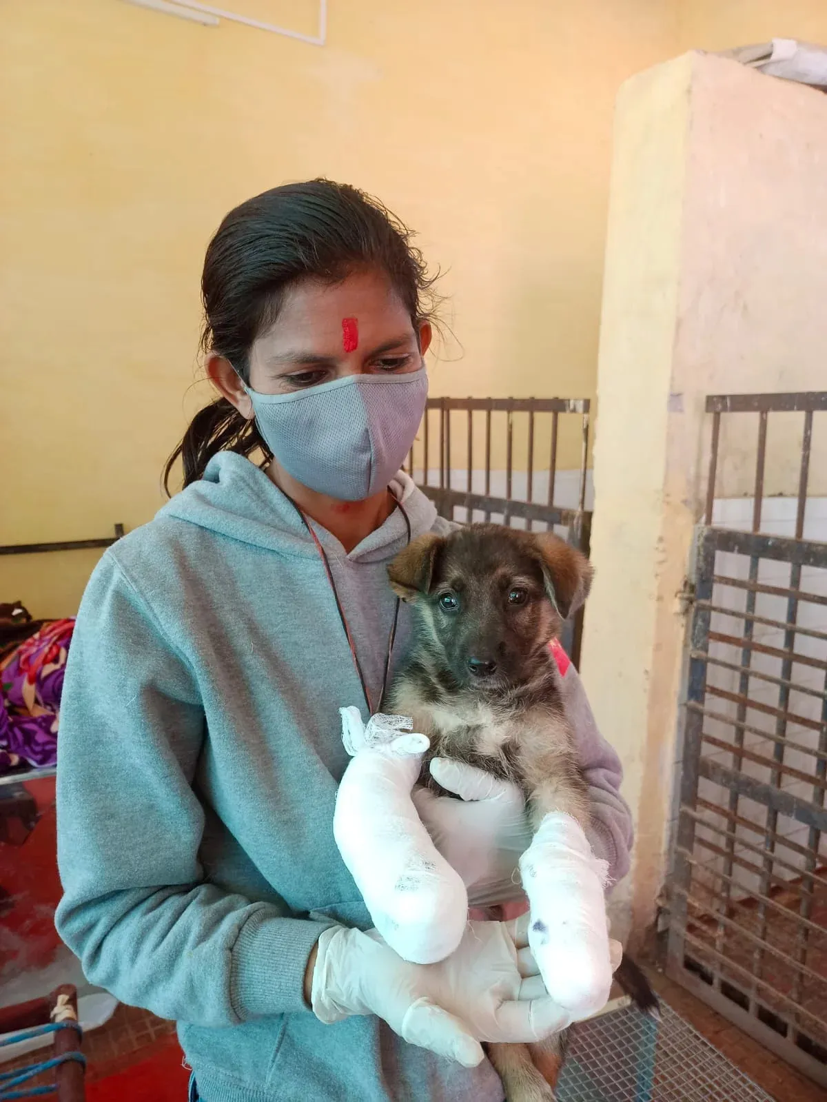 Furry Friends, Brighter Futures: Bezubanwelfare's Heartwarming Mission In Bikaner