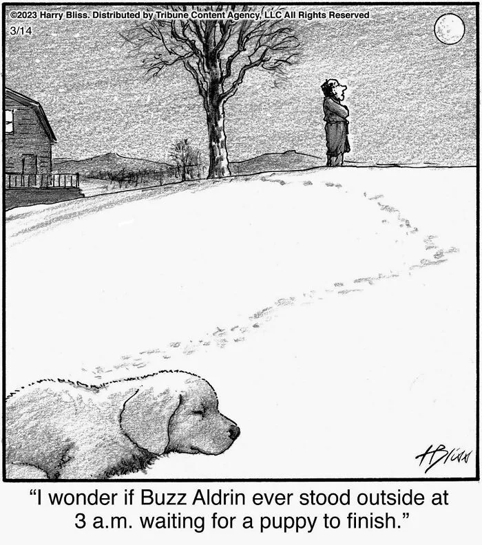 This New Yorker Magazine Cartoonist Creates Clever Comics That Poke Fun At Our Society (50 Pics)