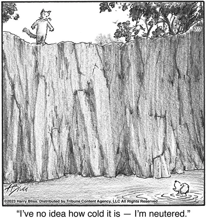 This New Yorker Magazine Cartoonist Creates Clever Comics That Poke Fun At Our Society (50 Pics)
