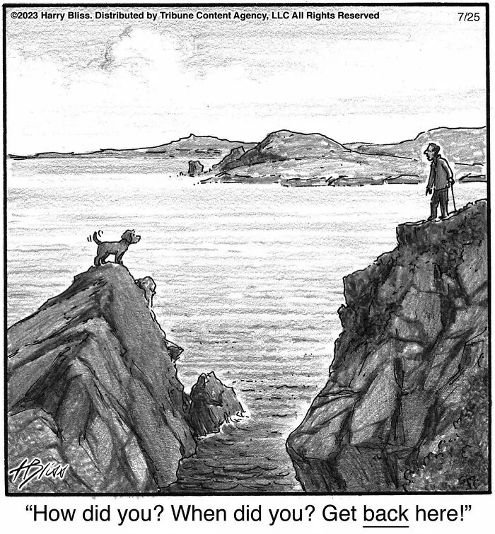This New Yorker Magazine Cartoonist Creates Clever Comics That Poke Fun At Our Society (50 Pics)
