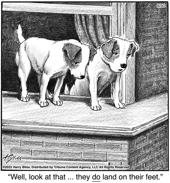This New Yorker Magazine Cartoonist Creates Clever Comics That Poke Fun At Our Society (50 Pics)