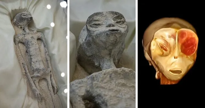 Millennium-Old 'Alien Corpses' Undergo Lab Tests: Mexican Doctors Claim Bodies Are Complete Skeletons