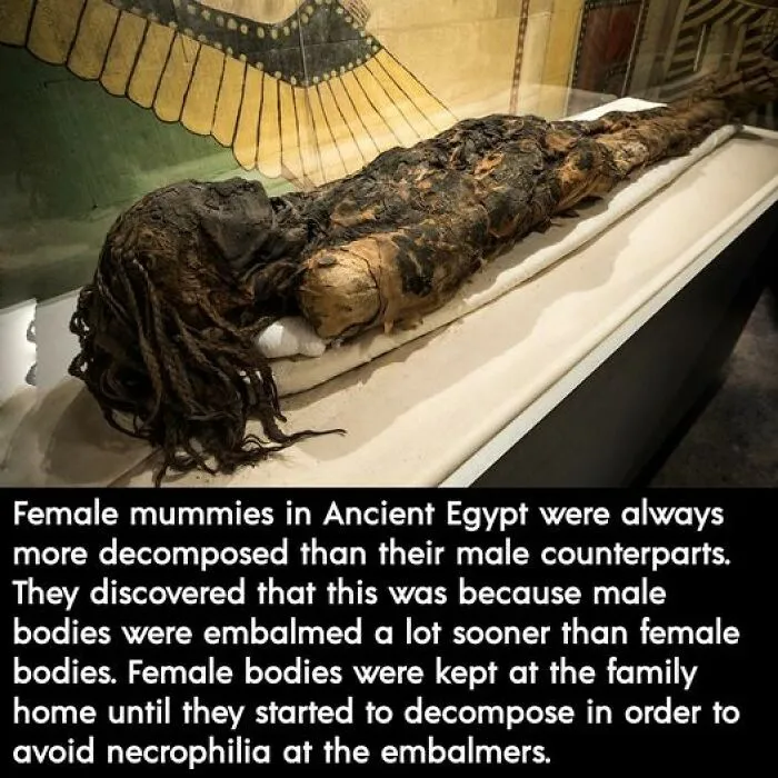 30 Fascinating Facts To Raise Your Curiosity About History