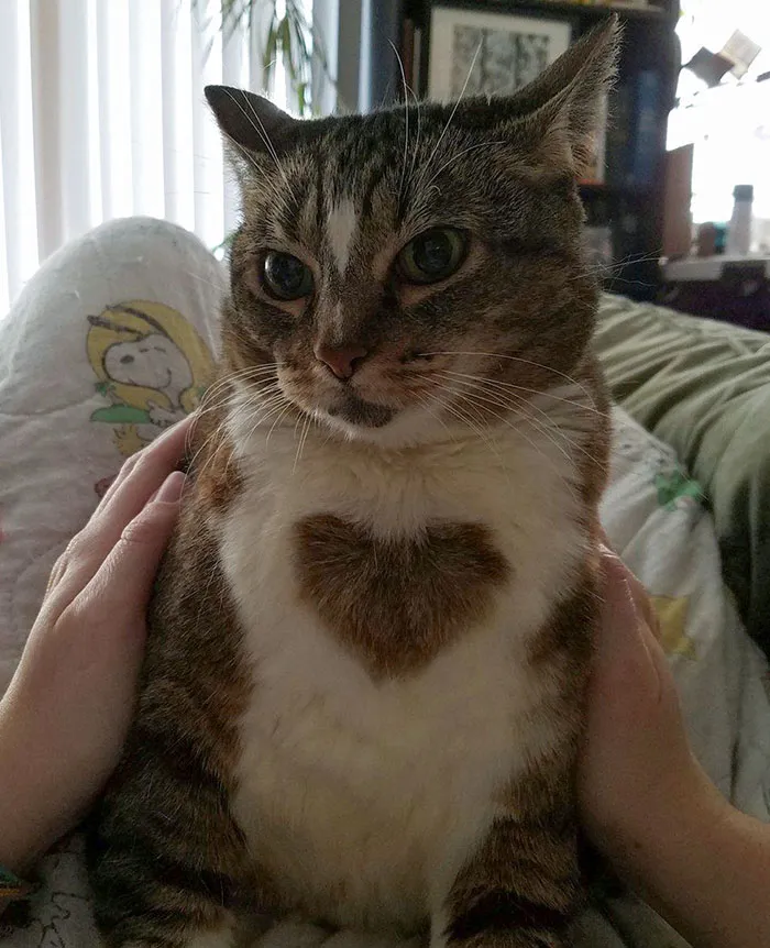 He Has A Big Heart