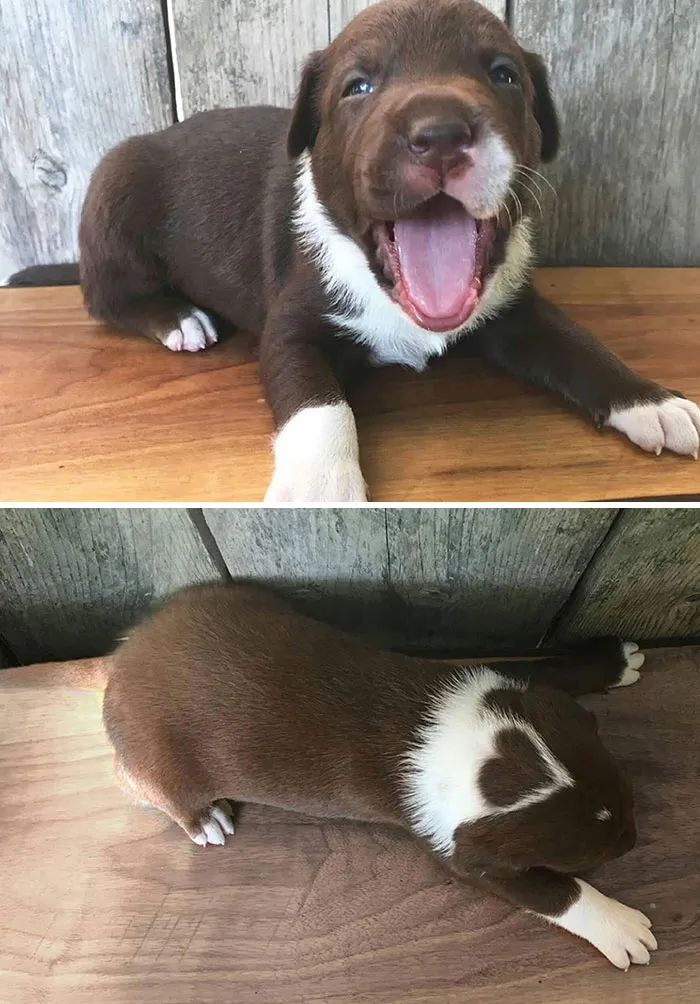 He Wears His Heart On His Head