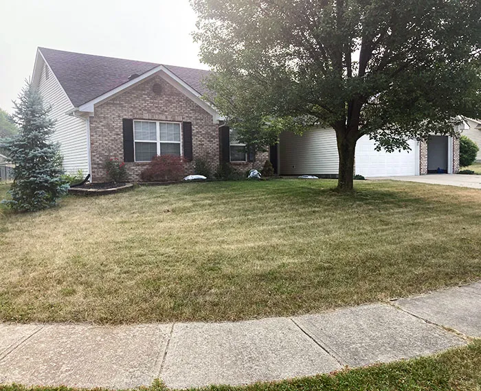 Neighbors Called The Police On Us Because Of Our "Tall Grass"