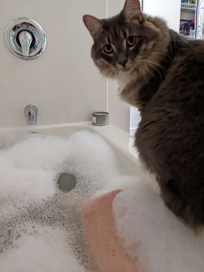 Scary When They Want To Be Your Bath Buddy. Don't Slip Little Guy