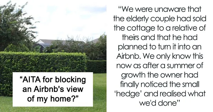 “Your Property, Your Hedge, Your Rules”: Couple Won't Cut Down Hedge For Next Door Airbnb's Benefit