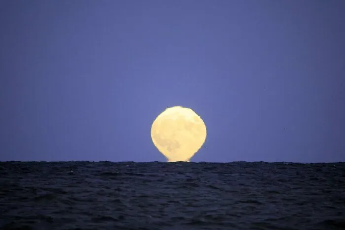 30 Photos Of The Blue Supermoon To Appreciate Before It Happens Again In 2037