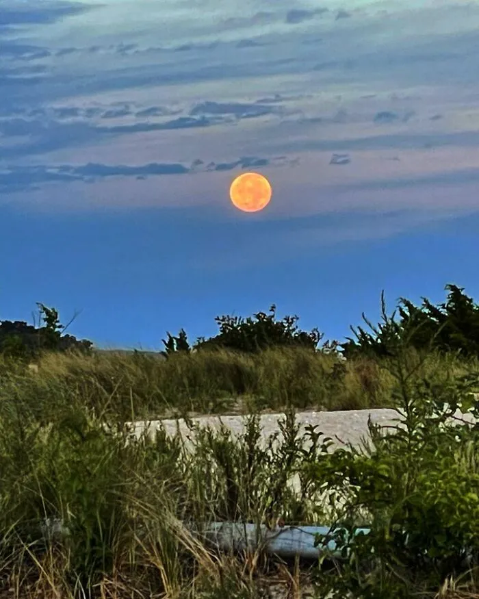 30 Photos Of The Blue Supermoon To Appreciate Before It Happens Again In 2037