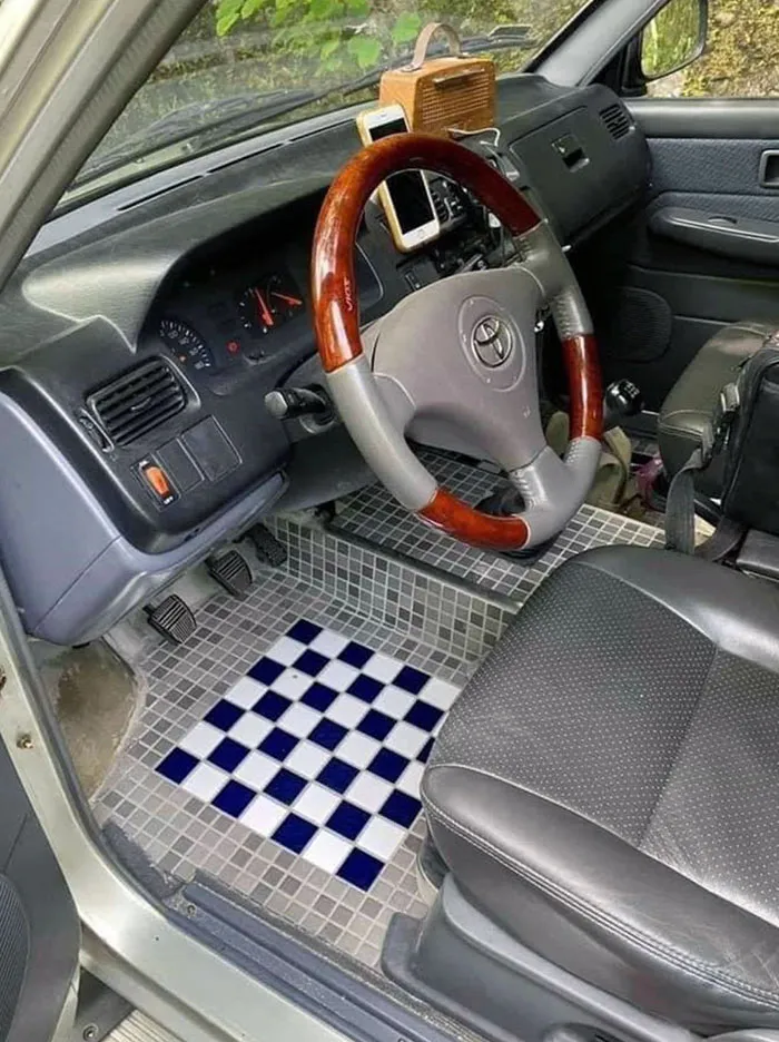 Lo que sea para no pasar la aspiradora por las alfombrillas