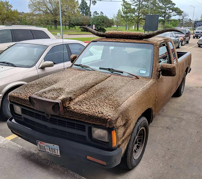 Visto en... Texas, claro