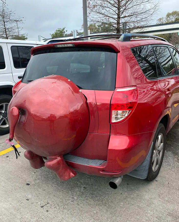 Hippo Car's Rear End. In Case You Were Wondering
