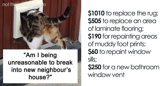 Cat Breaks Into Neighbor’s New Home, They Are Furious And Ask For $2,000