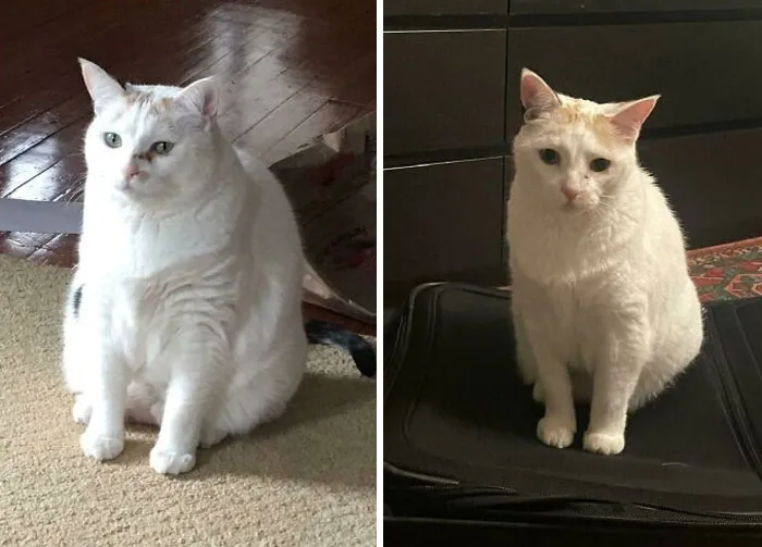 A Long Weight Loss Journey. Almost At Her Goal Weight