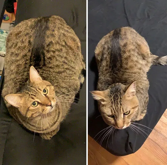6-Month Difference