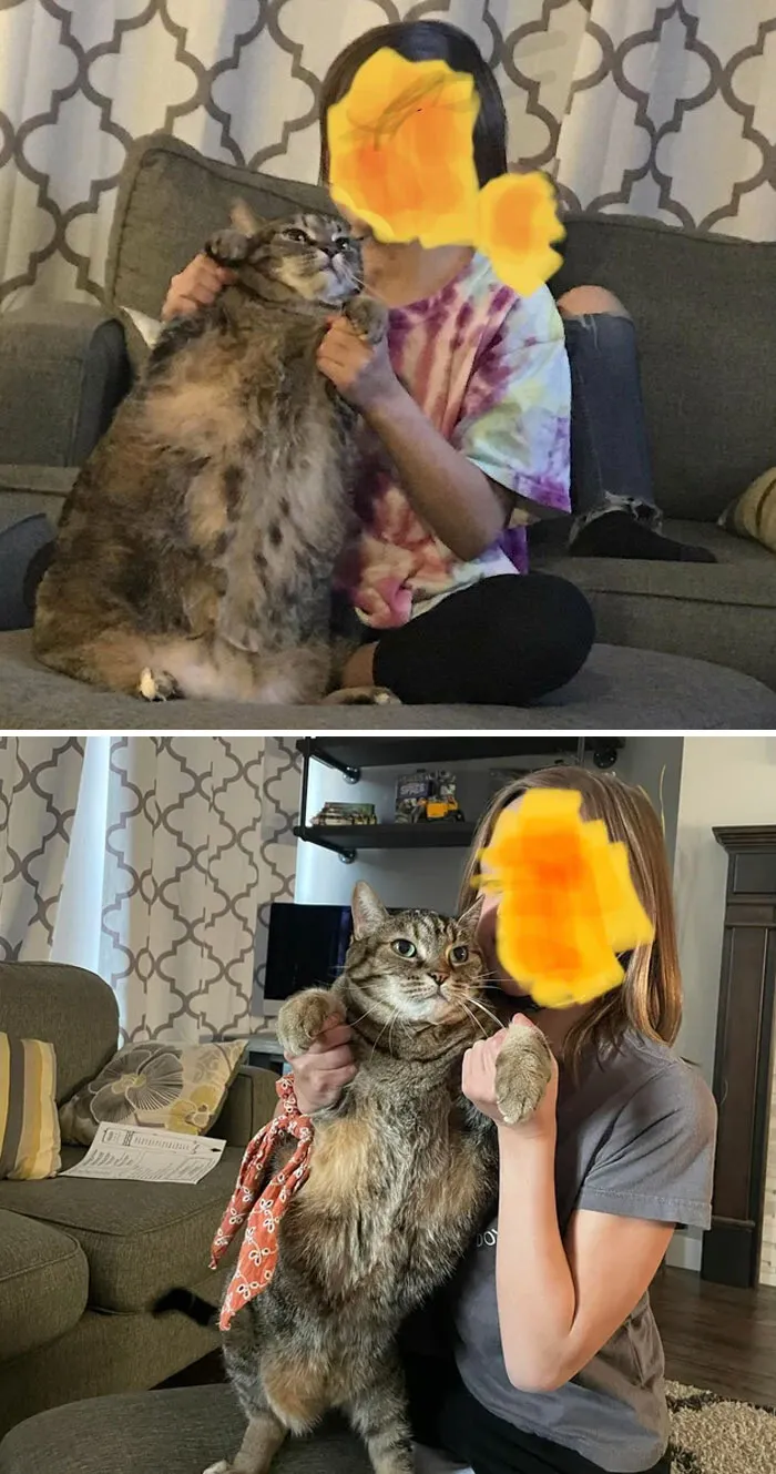 Big Girl Is Down Another Pound - Down 9 Lbs (22 Lbs To 13 Lbs) Total. Just A Few More To Go