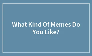 What Kind Of Memes Do You Like?