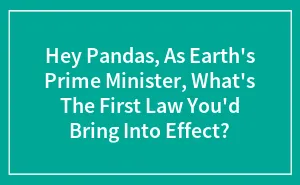 Hey Pandas, As Earth's Prime Minister, What's The First Law You'd Bring Into Effect? (Closed)