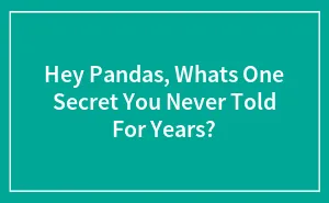 Hey Pandas, Whats One Secret You Never Told For Years?