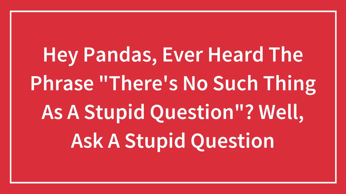 Hey Pandas, Ever Heard The Phrase "There's No Such Thing As A Stupid Question"? Well, Ask A Stupid Question