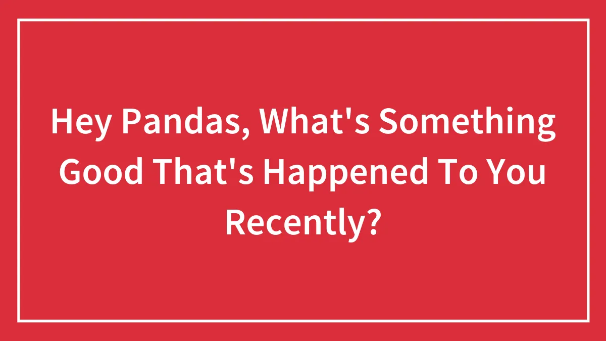 Hey Pandas, What's Something Good That's Happened To You Recently? (Closed)