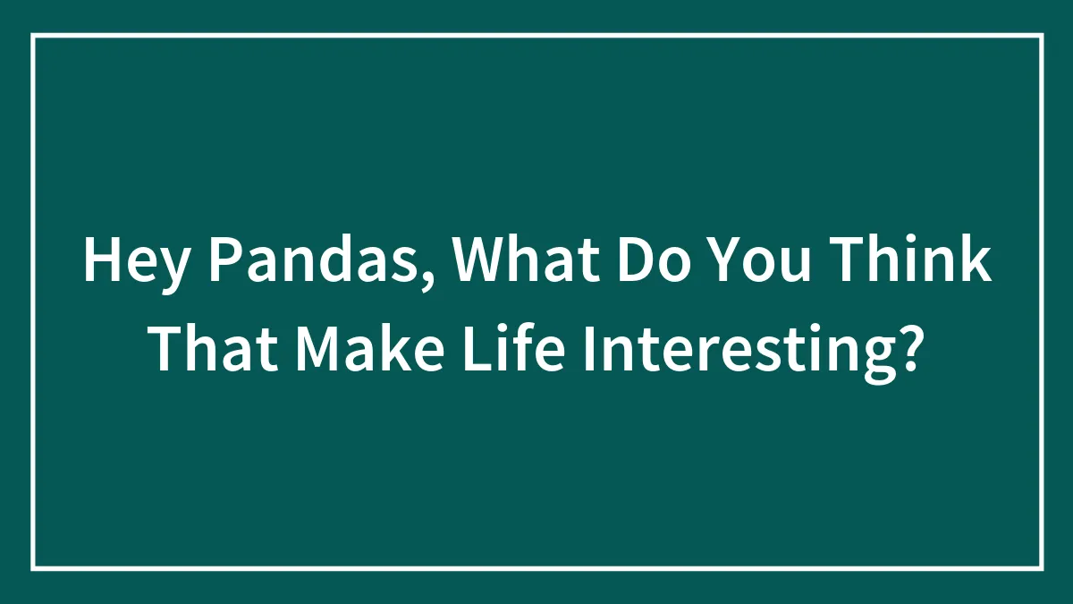 Hey Pandas, What Do You Think Makes Life Interesting? (Closed)