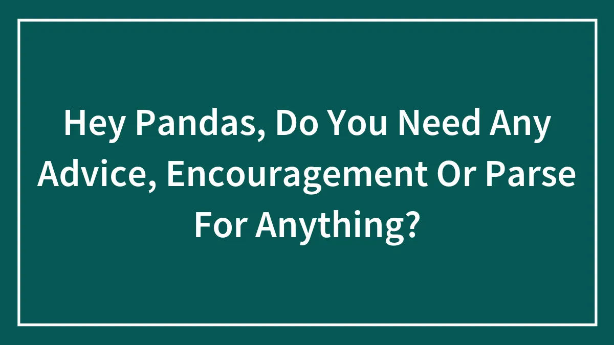 Hey Pandas, Do You Need Any Advice, Encouragement Or Parse For Anything?