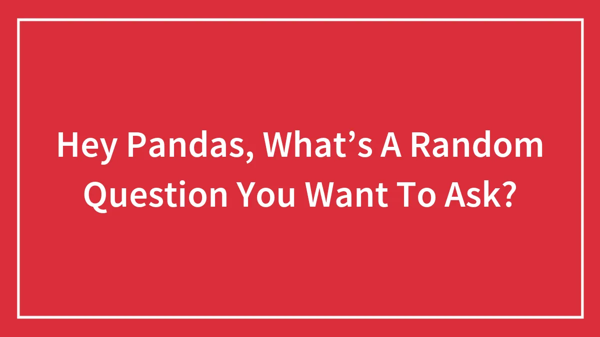 Hey Pandas, What’s A Random Question You Want To Ask?