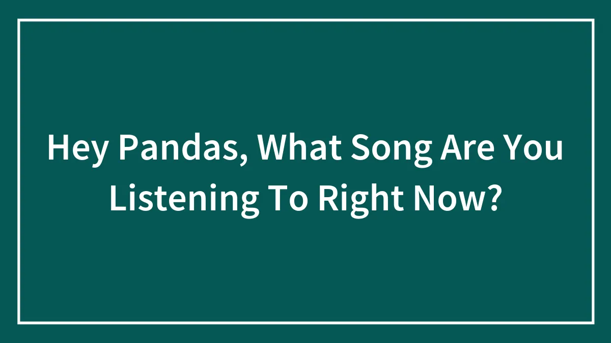 Hey Pandas, What Song Are You Listening To Right Now?
