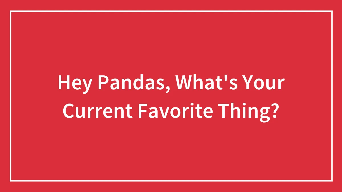 Hey Pandas, What's Your Current Favorite Thing? (Closed)