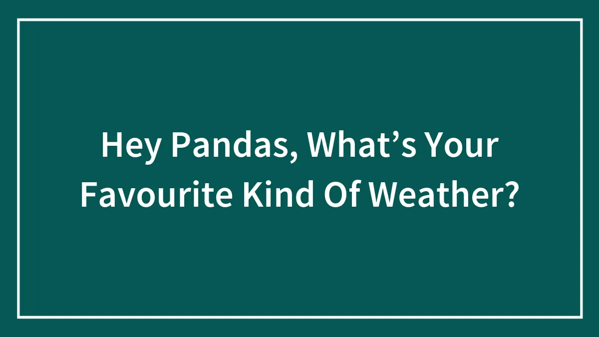 Hey Pandas, What’s Your Favourite Kind Of Weather?