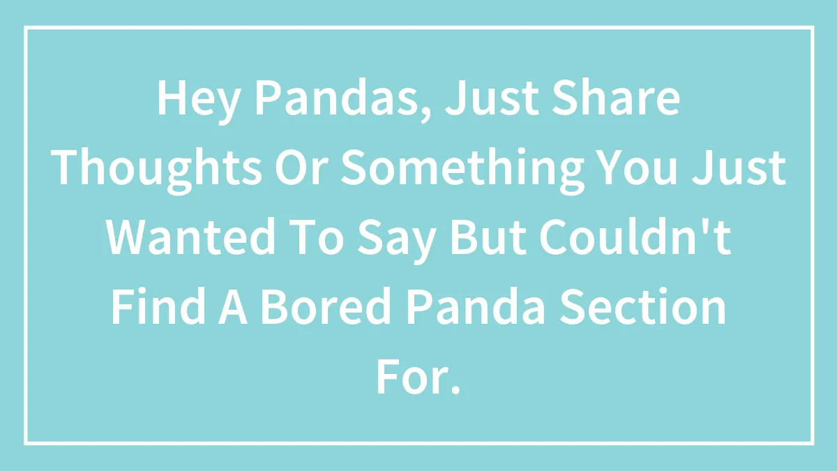 Hey Pandas, Just Share Thoughts Or Something You Just Wanted To Say But Couldn't Find A Bored Panda Section For.