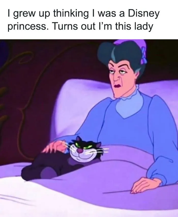 50 Cat Memes Any Cat Lover Would Appreciate