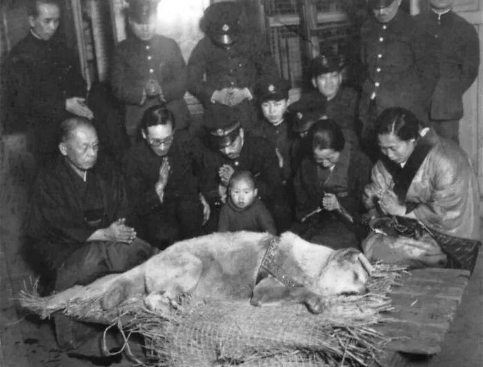 45 Of The Most Captivating Historical Pictures, As Shared By This Instagram Account