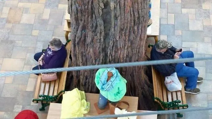 Mis abuelos esperándose mutuamente en el centro comercial