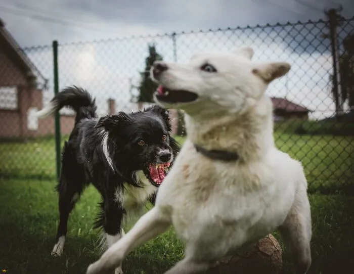 30 People Share Innocent-Looking Things That Are Actually Really Dangerous