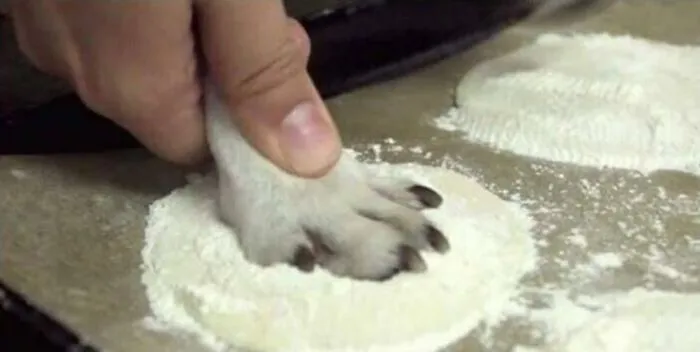 40 Of The Most Cursed Foods That Might Make Your Stomach Turn