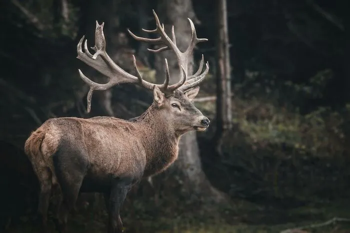 30 People Share Innocent-Looking Things That Are Actually Really Dangerous
