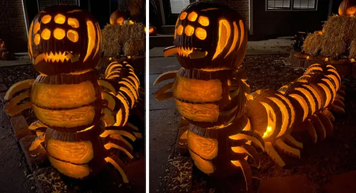 Finished My Pumpkinpede