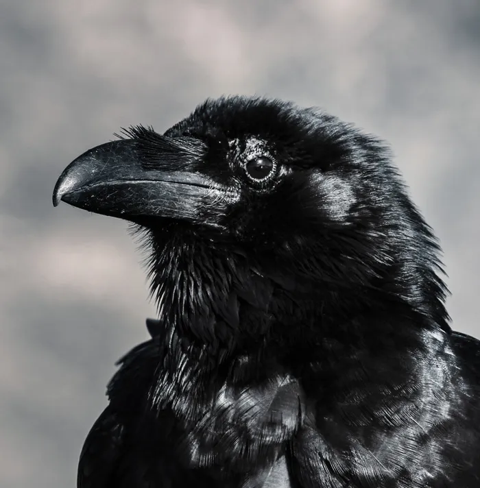 99 Scary Facts That Will Give You The Heebie-Jeebies