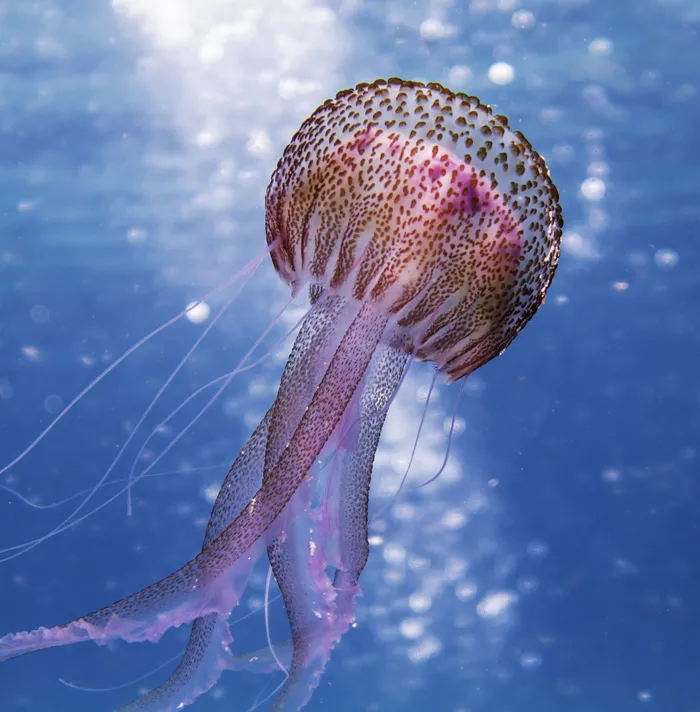 99 Scary Facts That Will Give You The Heebie-Jeebies