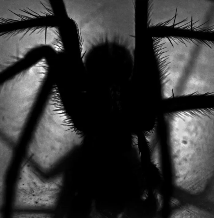 99 Scary Facts That Will Give You The Heebie-Jeebies